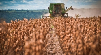 Empréstimos agrícolas de grandes e médios produtores crescem 14% na atual safra